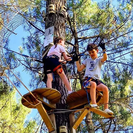 Du Haurat Διαμέρισμα Gujan-Mestras